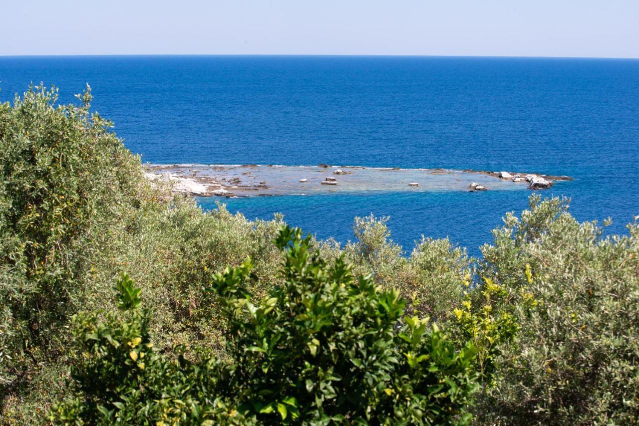 Archodissa Villa Thimonia Extérieur photo